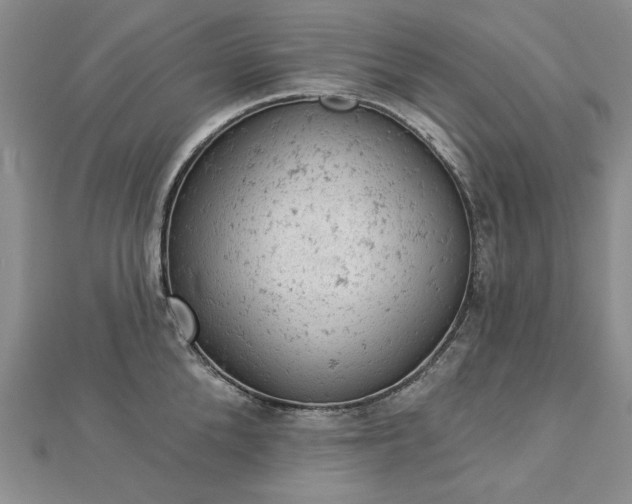 X0000112780904200908271701