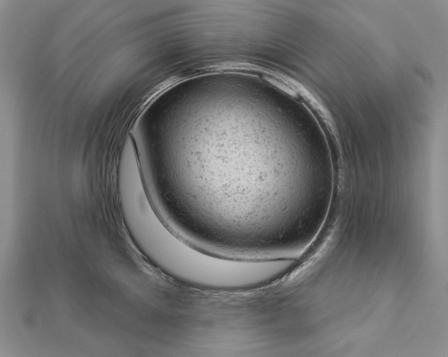 X0000112780905200908271701