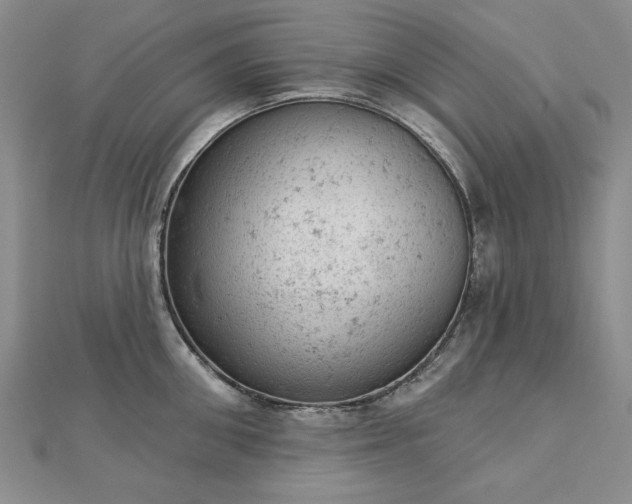 X0000112780906200908271701