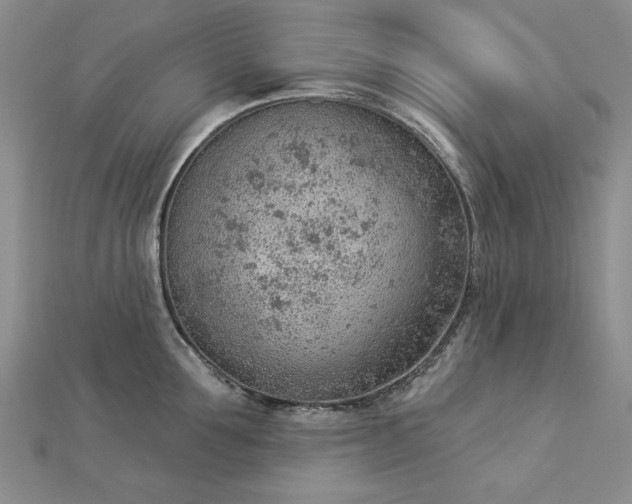 X0000112780907200908271701