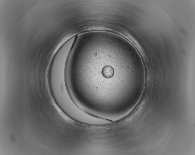 X0000112780909200908271700