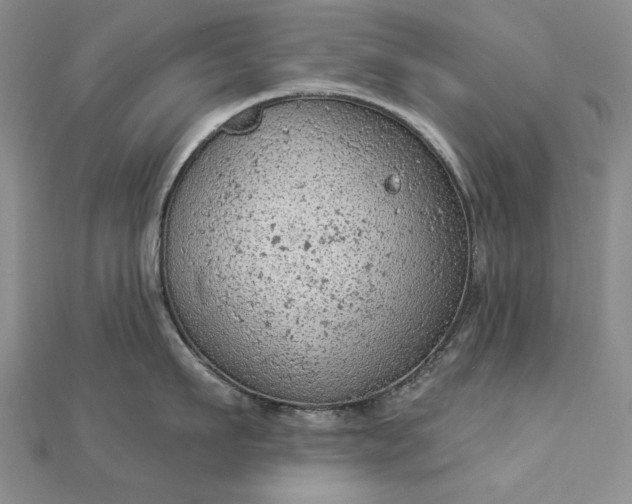 X0000112780911200908271700