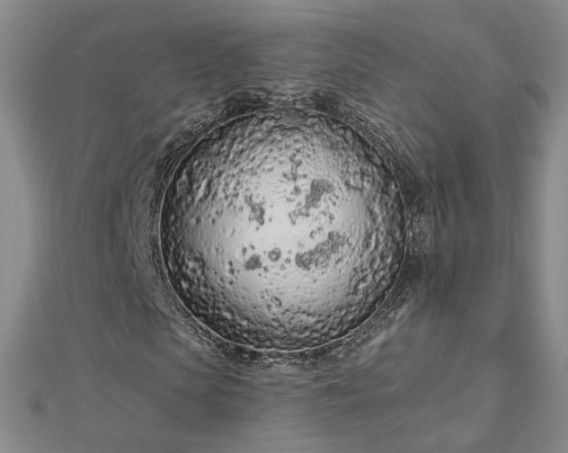 X0000112780913200908271700