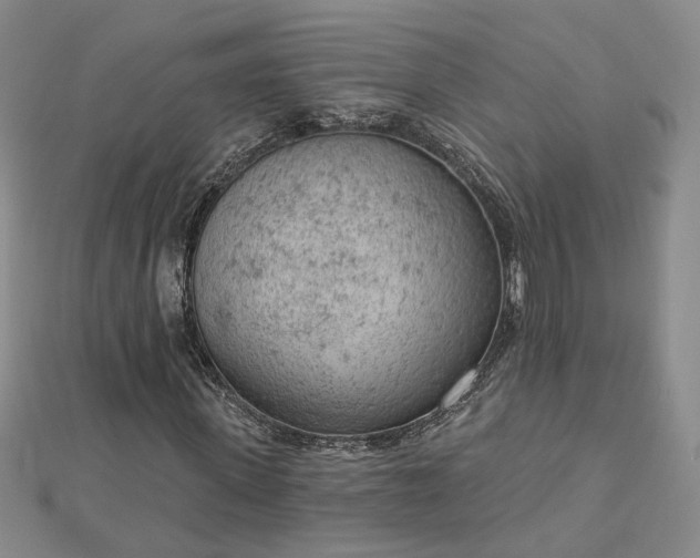 X0000112780915200908271700