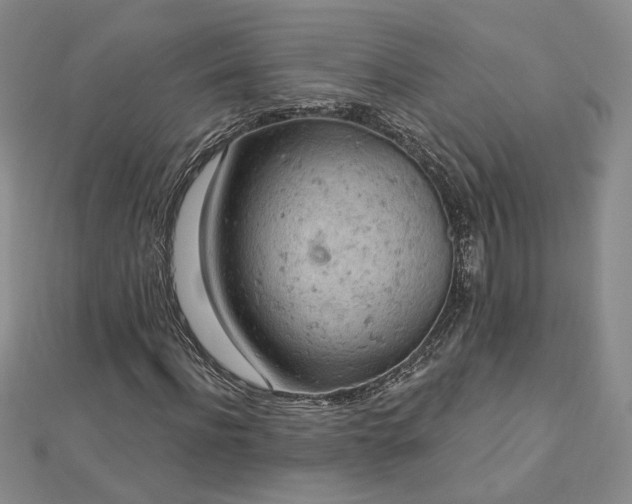 X0000112780916200908271700