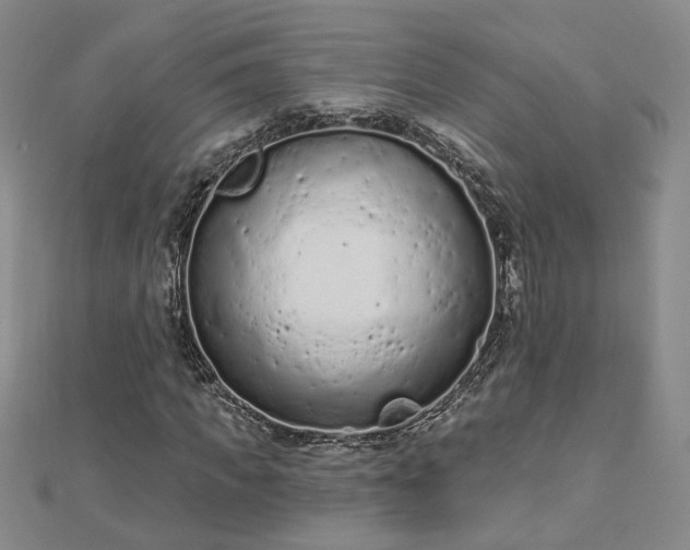 X0000112780917200908271700