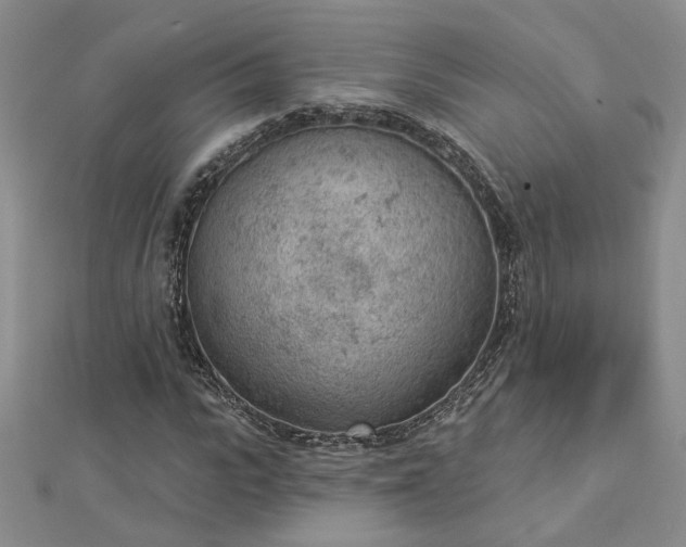 X0000112780919200908271700