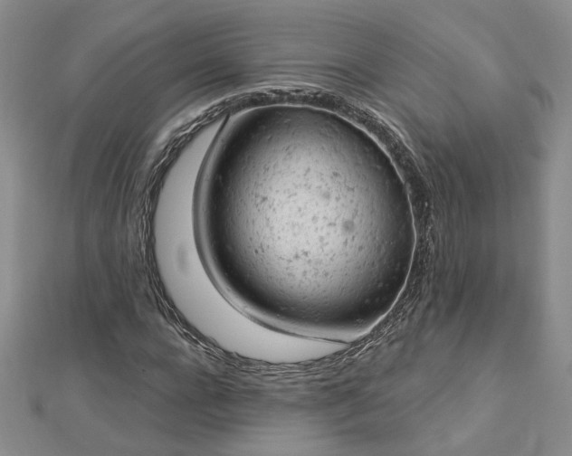 X0000112780920200908271700