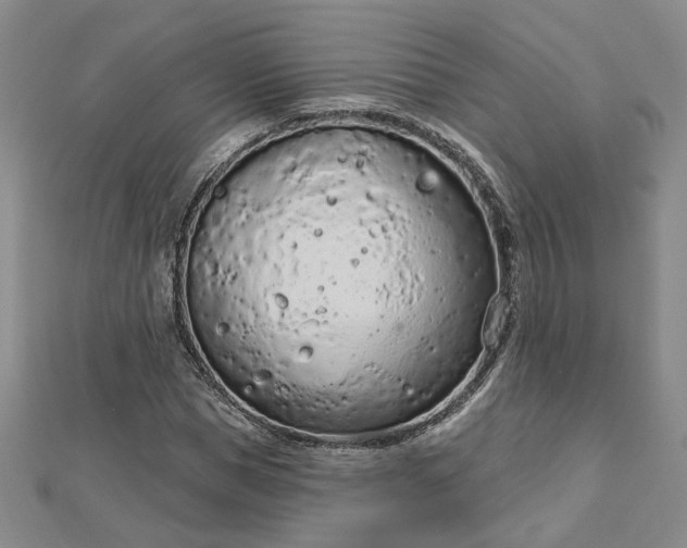 X0000112780921200908271700