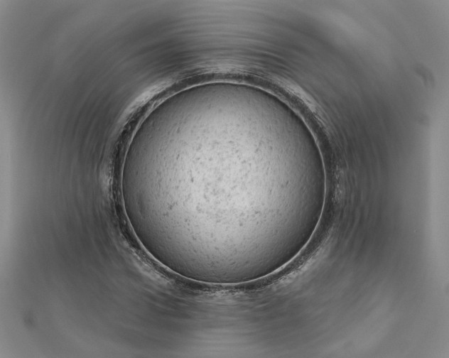 X0000112780922200908271700