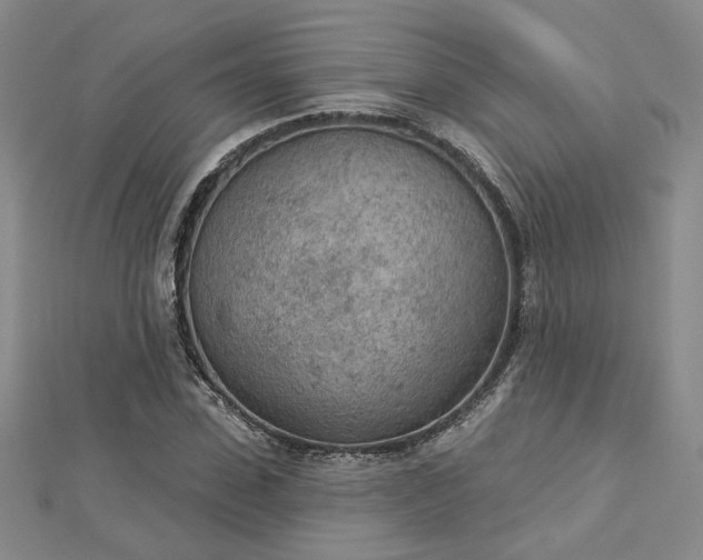 X0000112780923200908271700