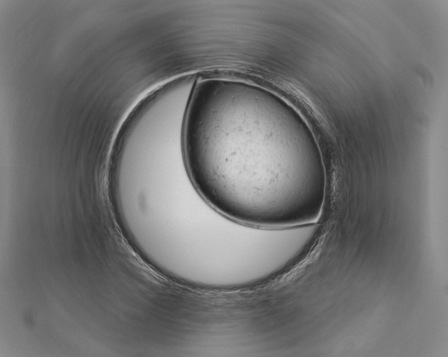 X0000112780924200908271700