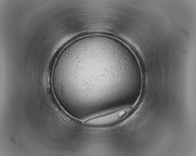 X0000112780925200908271700