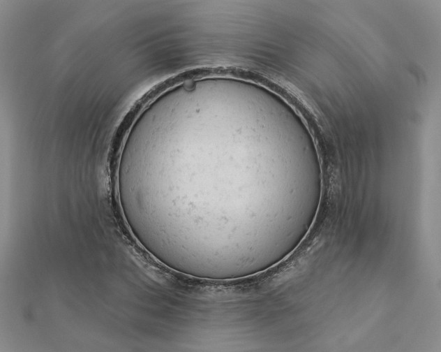 X0000112780927200908271700