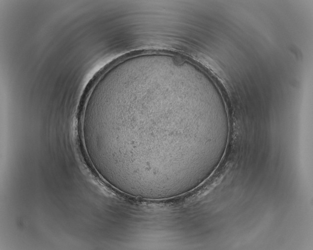 X0000112780928200908271700