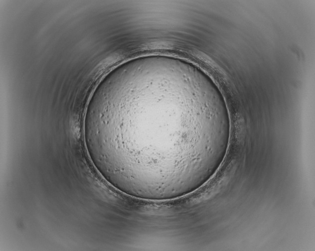 X0000112780929200908271700