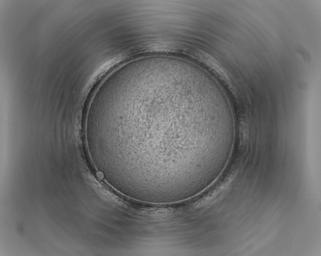 X0000112780930200908271700