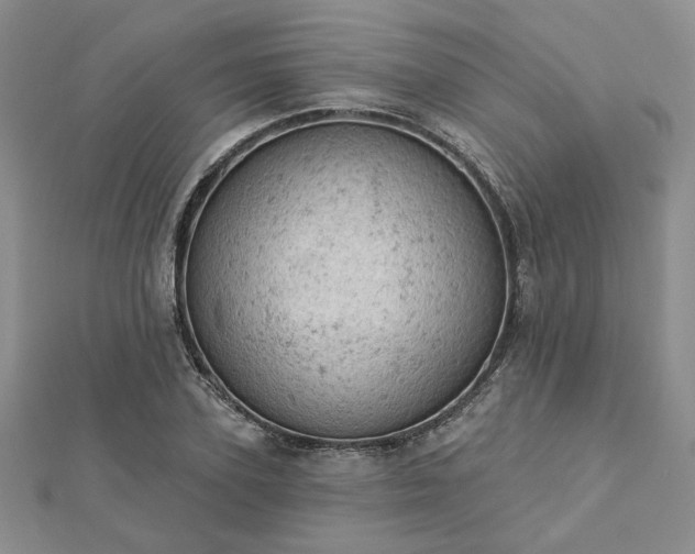 X0000112780931200908271700