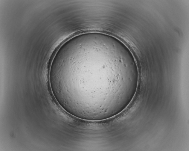 X0000112780933200908271700