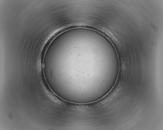 X0000112780934200908271700