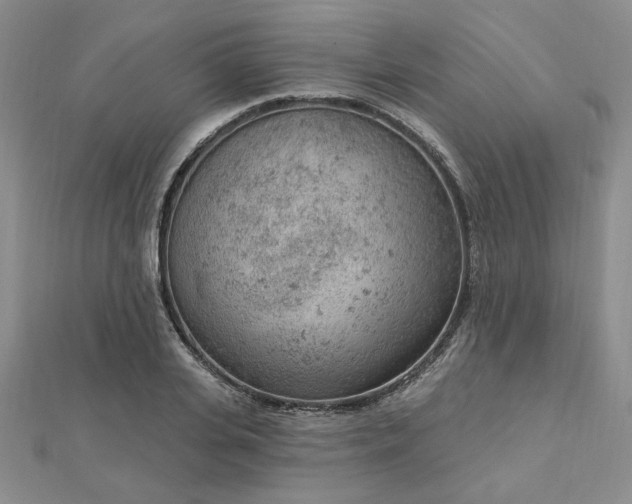 X0000112780935200908271700