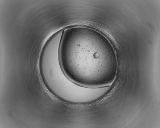 X0000112780936200908271700