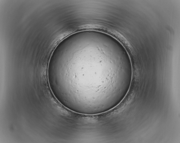 X0000112780937200908271700