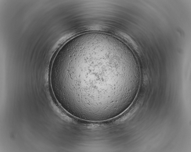 X0000112780938200908271700