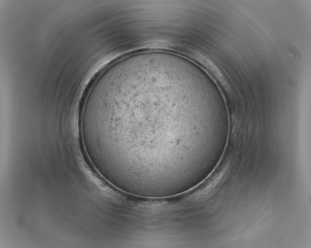 X0000112780939200908271700