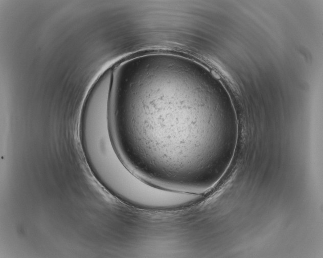 X0000112780940200908271700