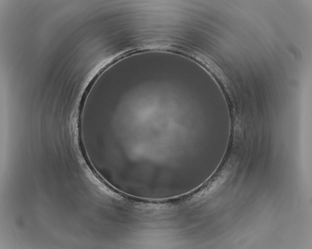 X0000112780941200908271700