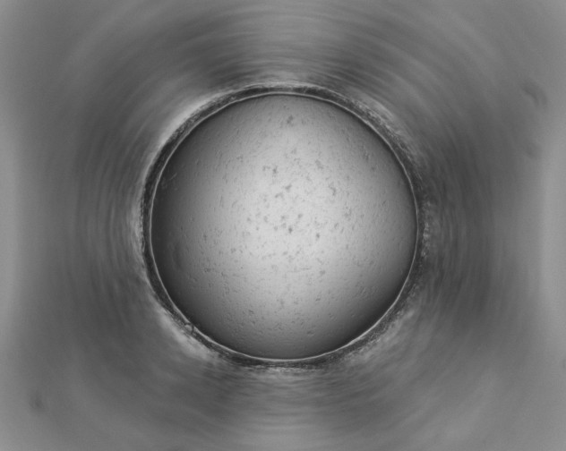 X0000112780942200908271700