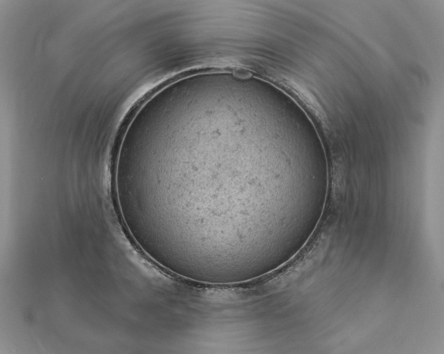 X0000112780944200908271700