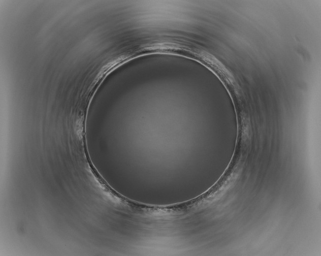 X0000112780945200908271700