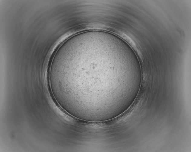 X0000112780947200908271700