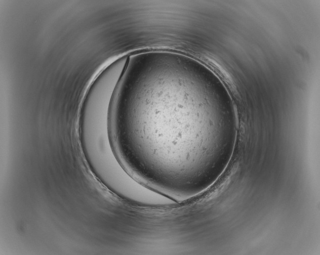 X0000112780948200908271700