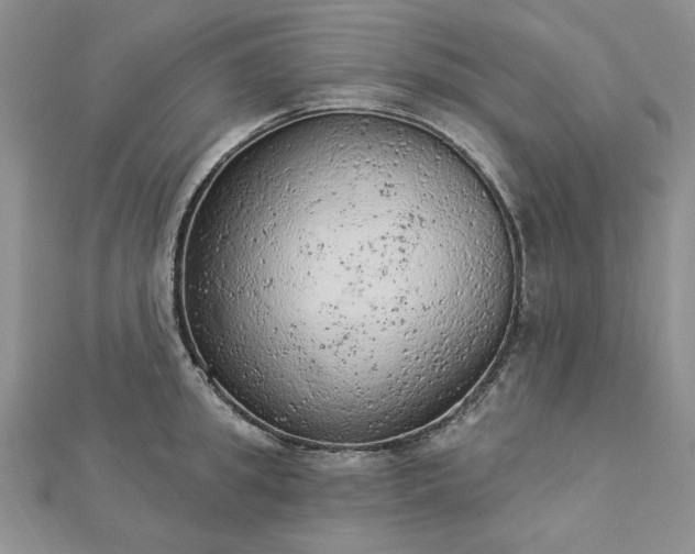 X0000112780949200908271700