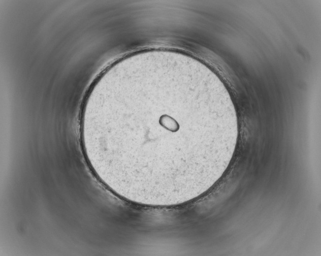 X0000112780950200908271700