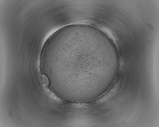 X0000112780952200908271700