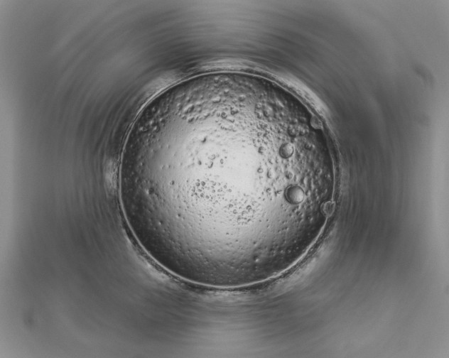 X0000112780953200908271700