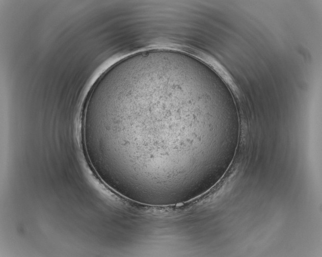 X0000112780955200908271700