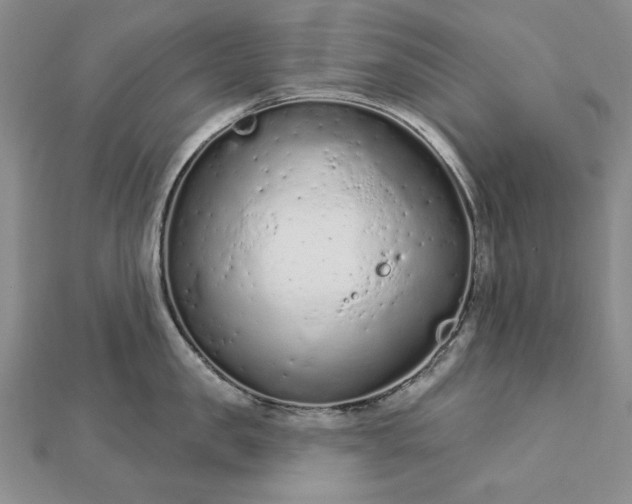 X0000112780957200908271700