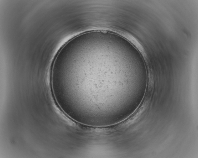 X0000112780958200908271700