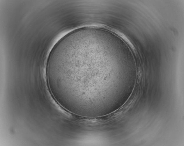 X0000112780959200908271700