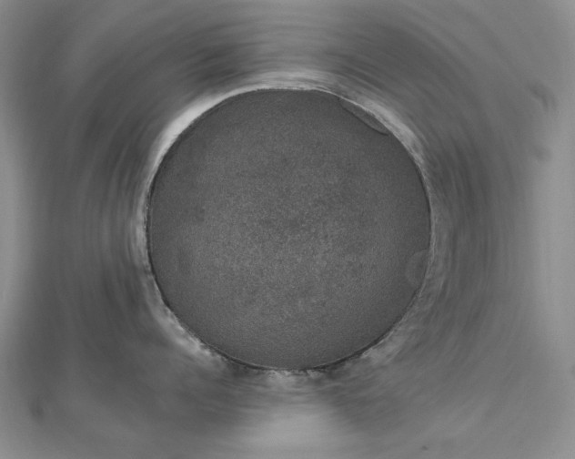 X0000112780960200908271700