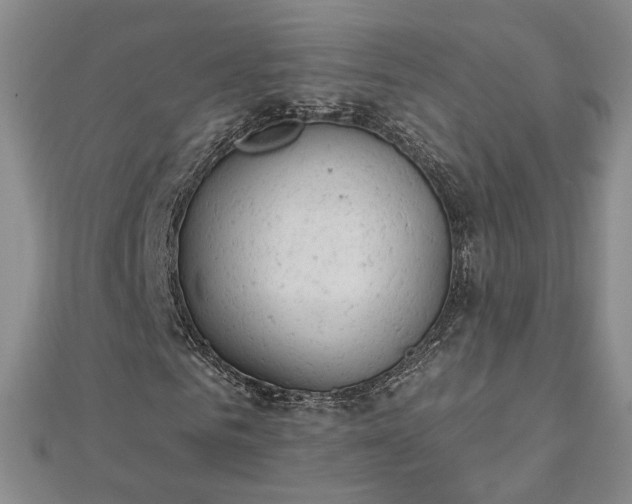 X0000112780961200908271700