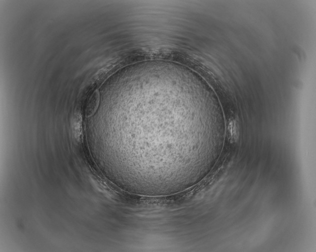 X0000112780963200908271700