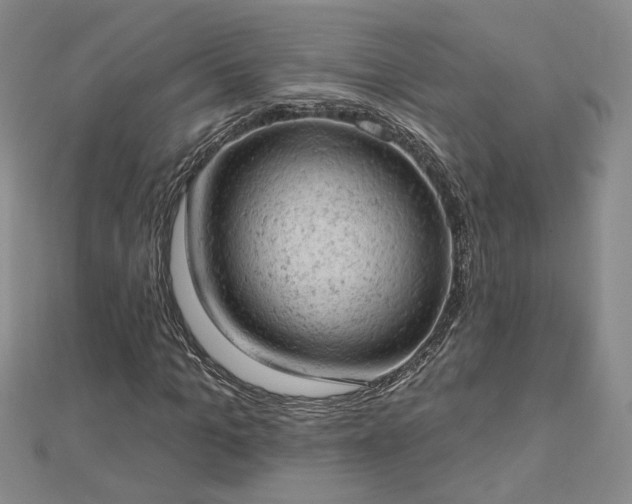 X0000112780965200908271700