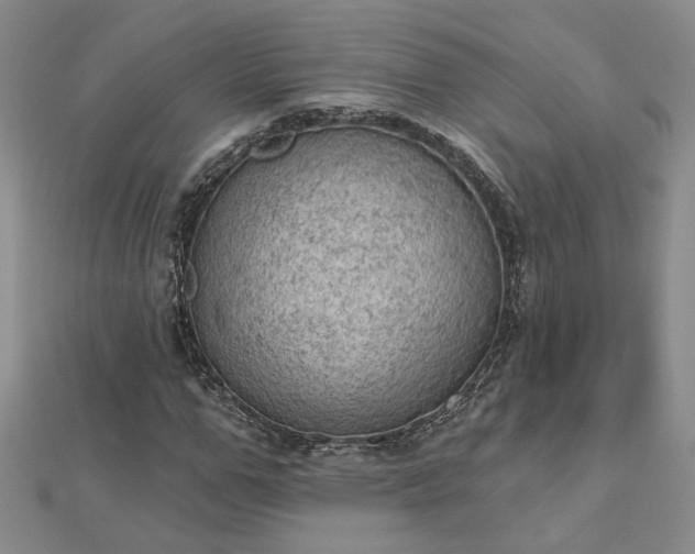 X0000112780967200908271700