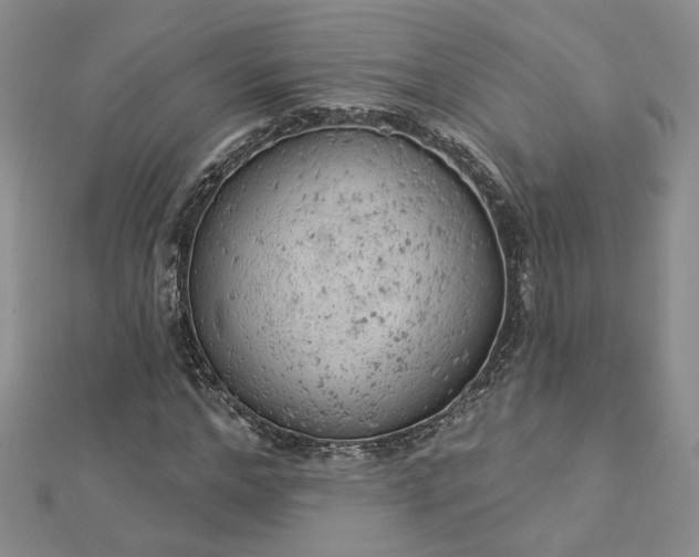 X0000112780968200908271700